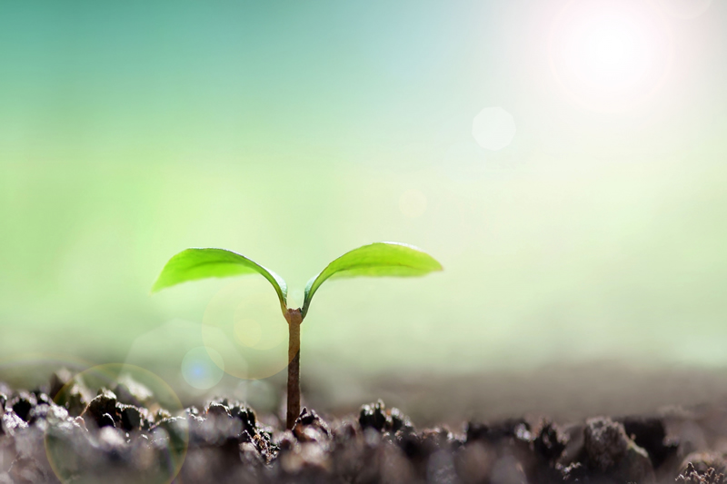 東日本大震災による犠牲者の慰霊と巡礼のみちづくり